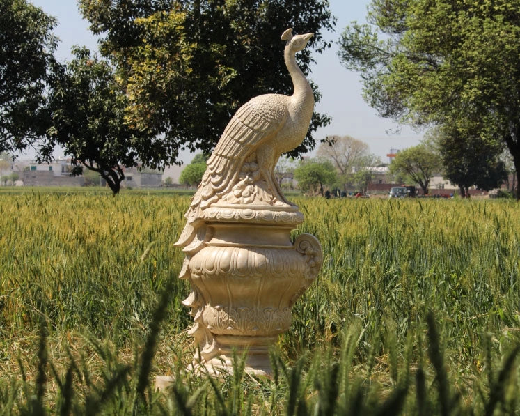 Review image for Bhullar Estates